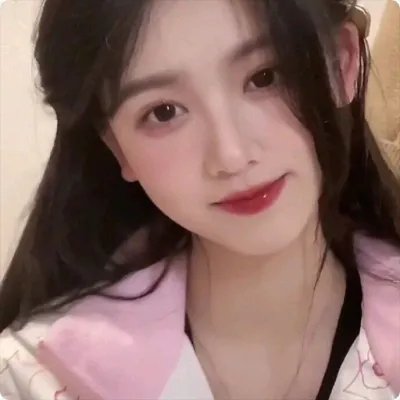 送赞雪橇犬